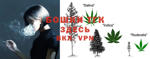 прущие крисы Козельск