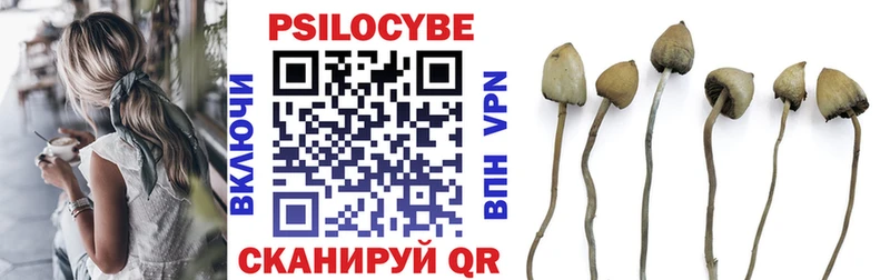 Купить где  Обь  Псилоцибиновые грибы прущие грибы 